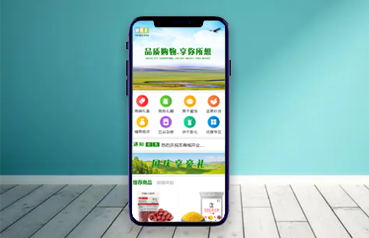 內蒙古網站建設,內蒙古蒙禮供應鏈管理有限公司